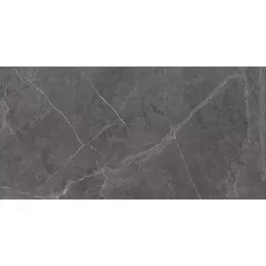 Керамогранит Artceramic Berrys Graffite темно-серый 120*60 см